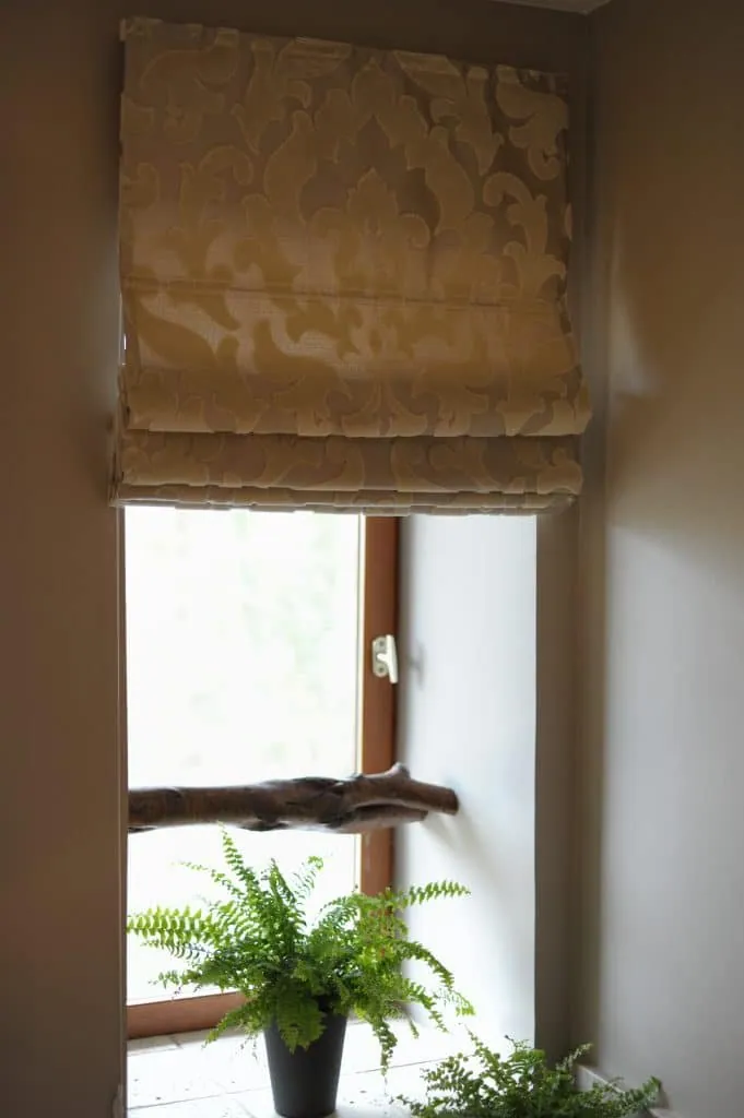 Beige damask Roman blind, a fern and a natural wood branch at the window