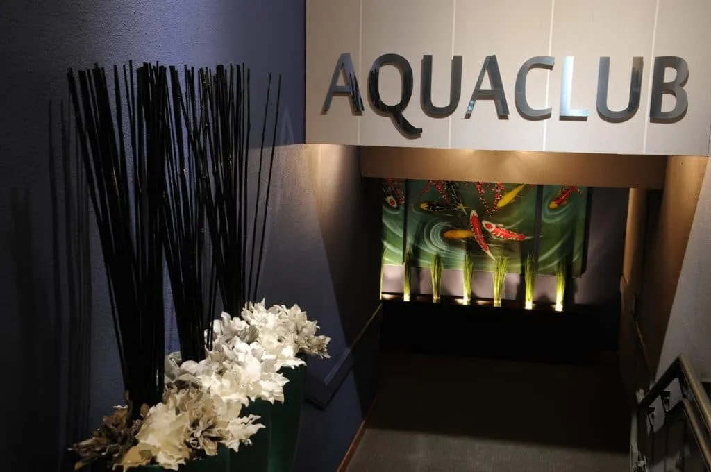 Entrance to the Val Thorens aqua spa: Aquaclub sign, stairway and koi carp artwork