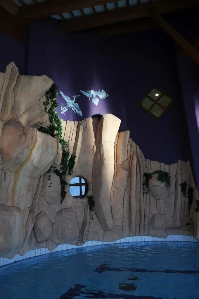 Rock face with ivy by the pool, white bird silhouettes against a deep purple wall