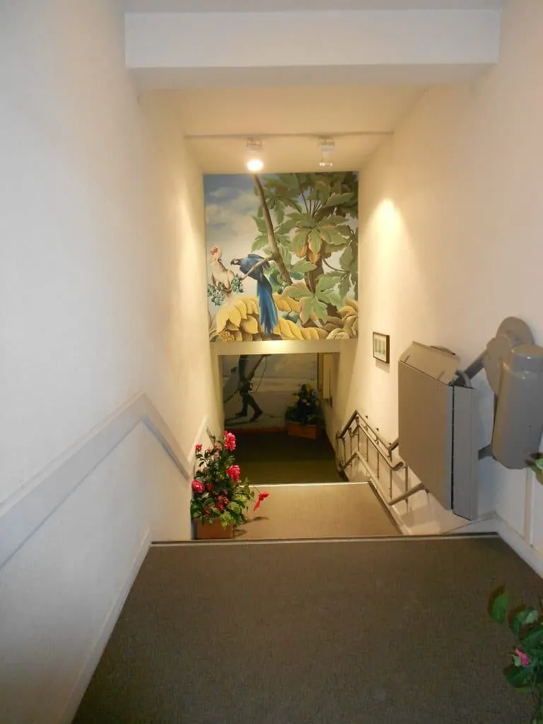 Staircase down to the spa before its transformation, white walls, parrot mural at the bottom